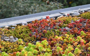 the cost of Crofton green roof installation