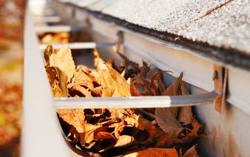 Crofton gutter cleaning companies