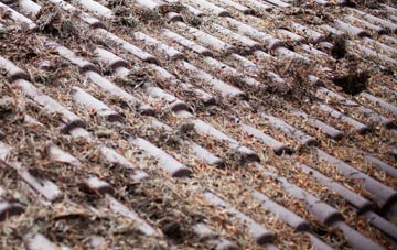 Crofton roof cleaning companies